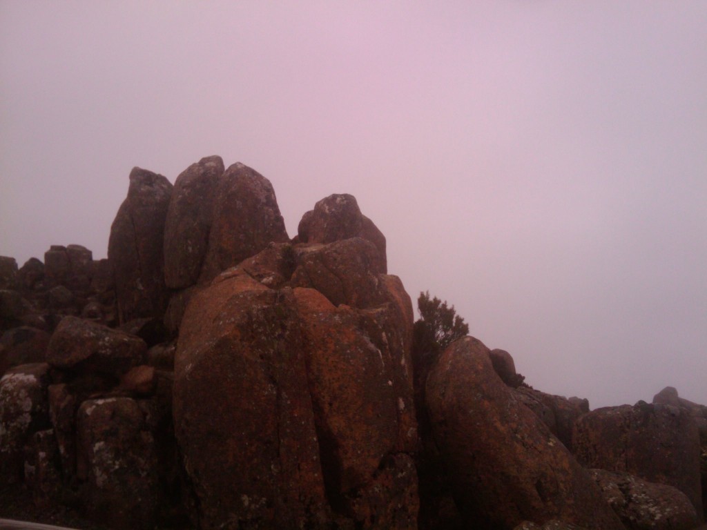 2011-01-31 11.00.14