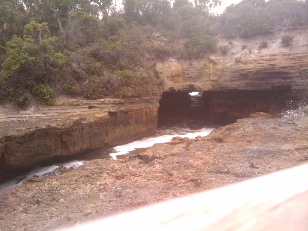 2011-01-31 13.32.35