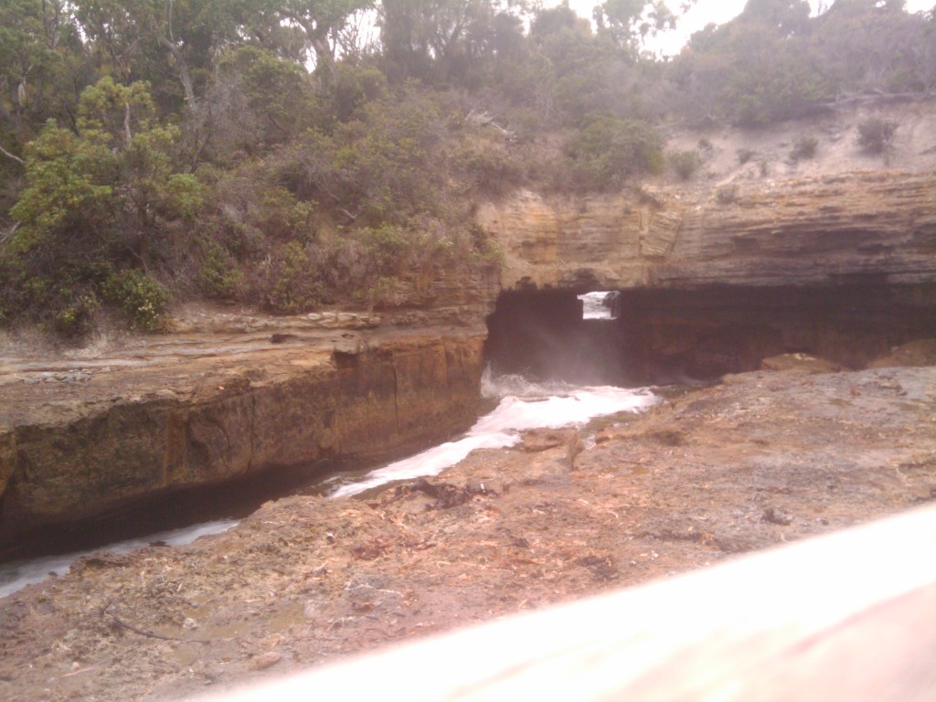 2011-01-31 13.32.39