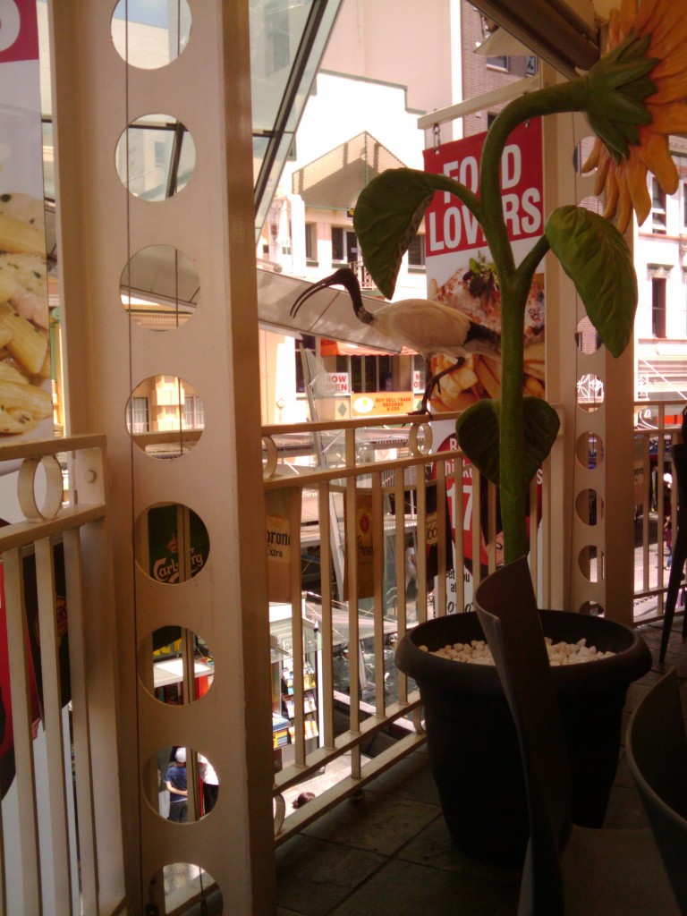 2011-01-29 12.56.33