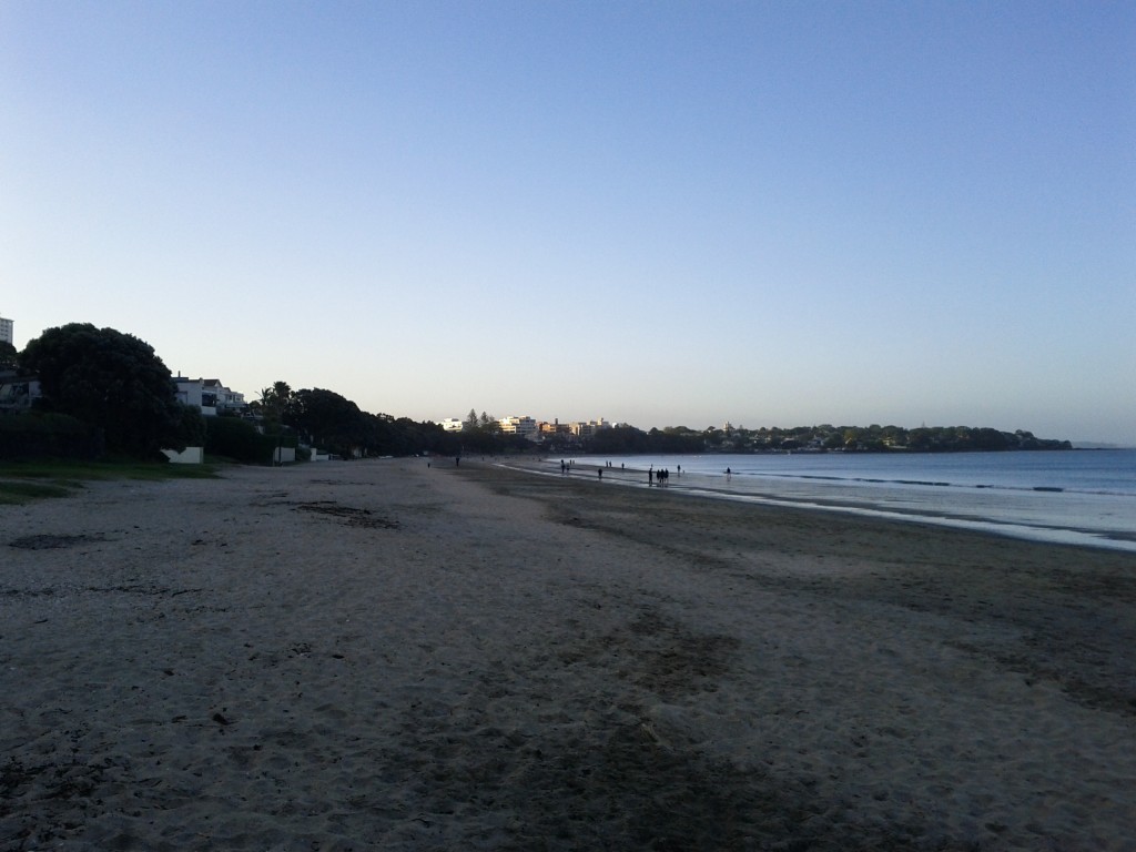 IMG_20111116_193431